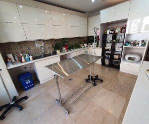 proshatclinic